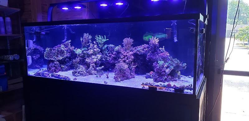 The Fish Tank - Photo 3