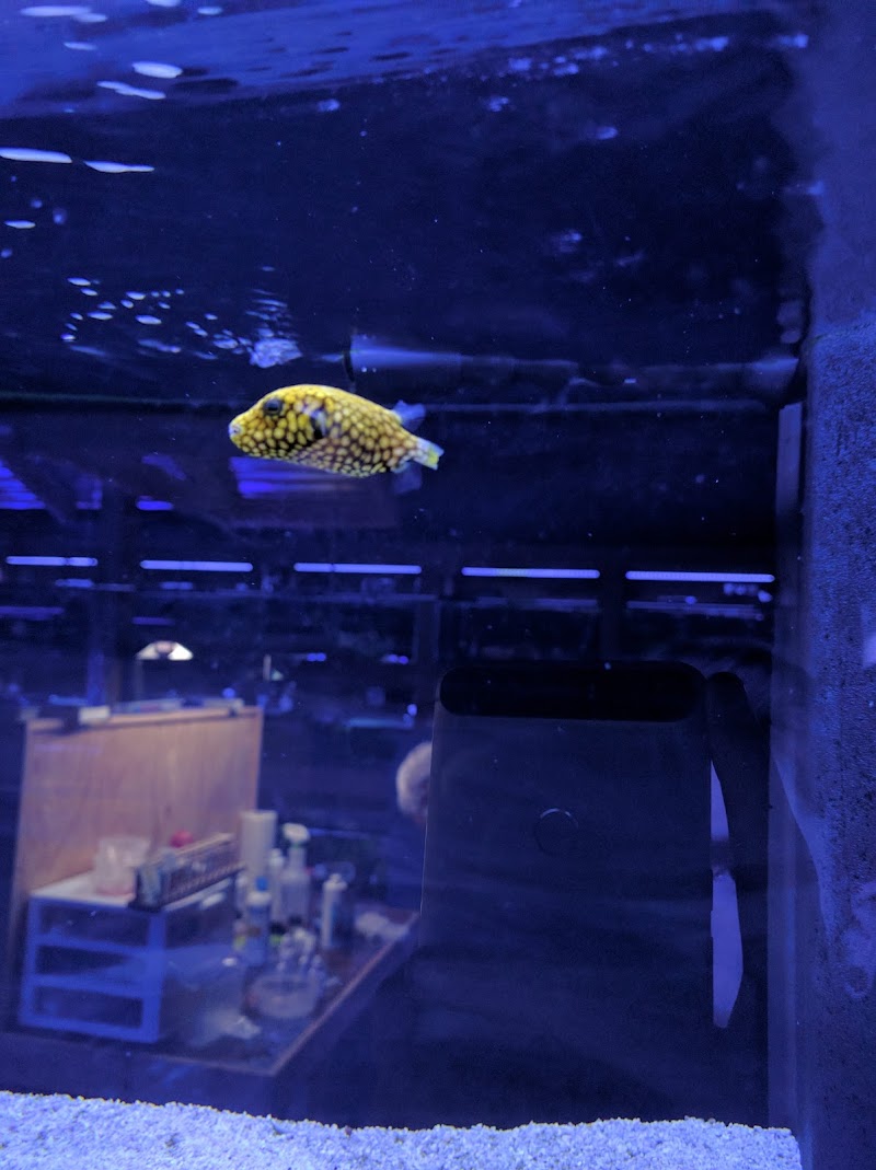 The Fish Tank - Photo 4