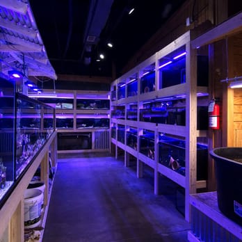 The Fish Tank - Photo 5