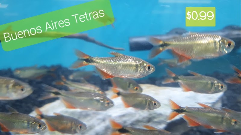 Oak Park Natural Pet & Fish - Photo 2