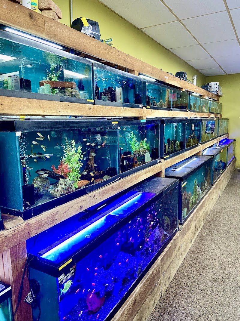 Oak Park Natural Pet & Fish - Photo 3