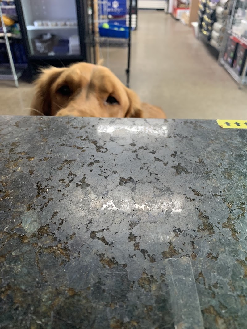 Oak Park Natural Pet & Fish - Photo 5