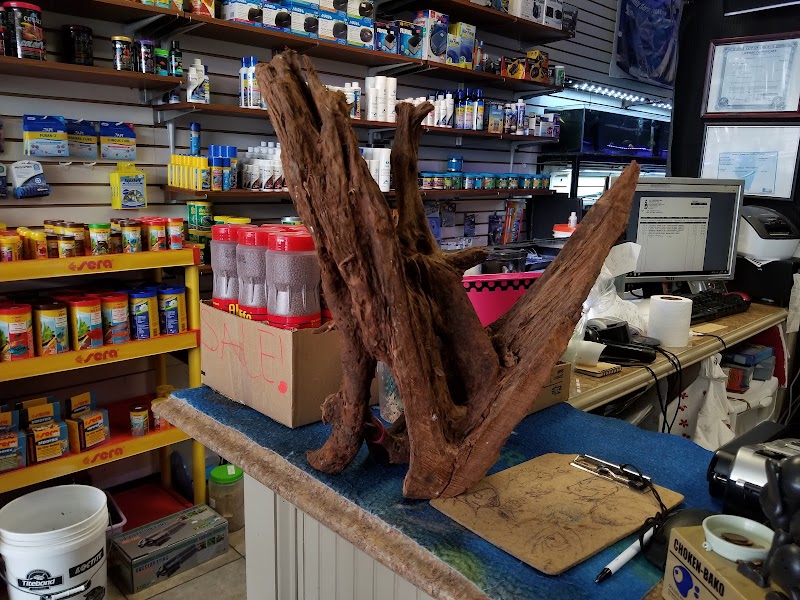 Golden Aquarium - Photo 2