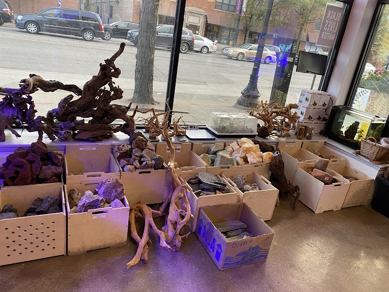 Old Town Aquarium - Photo 2