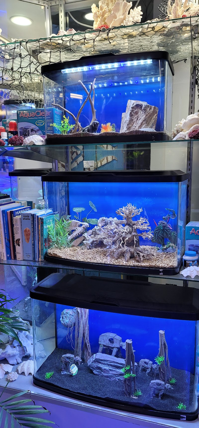 Old Town Aquarium - Photo 3