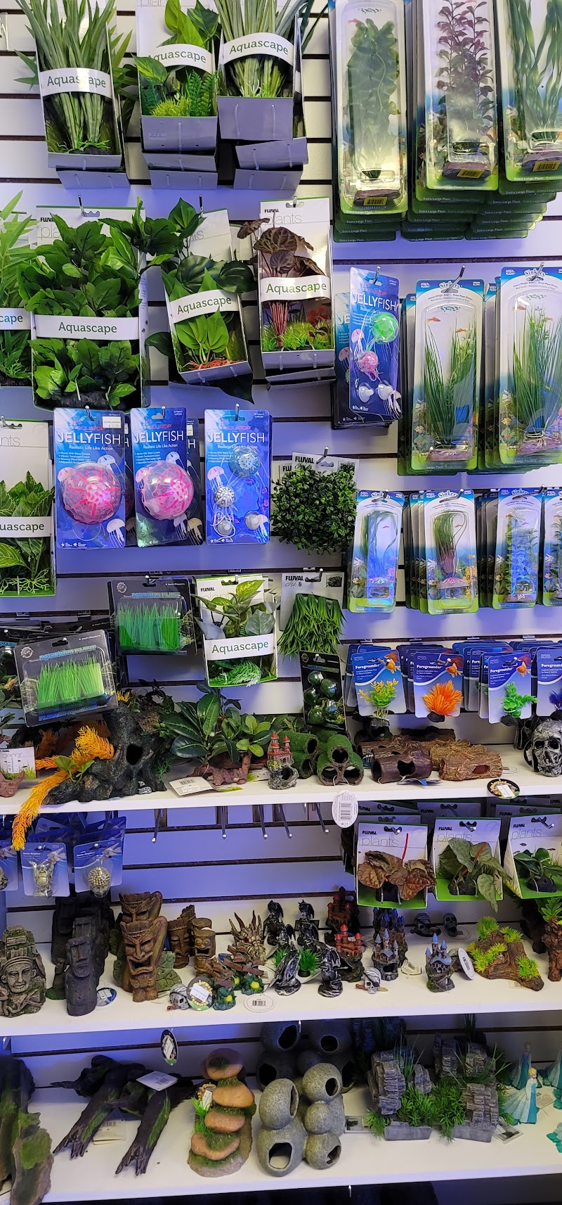 Old Town Aquarium - Photo 5