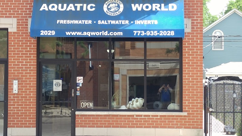 Aquatic World - Photo 1