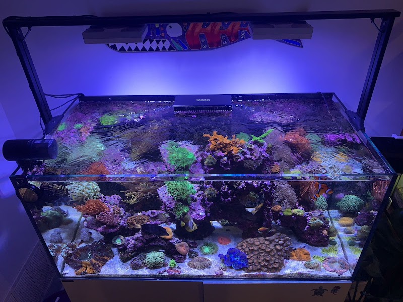 Aquatic World - Photo 2