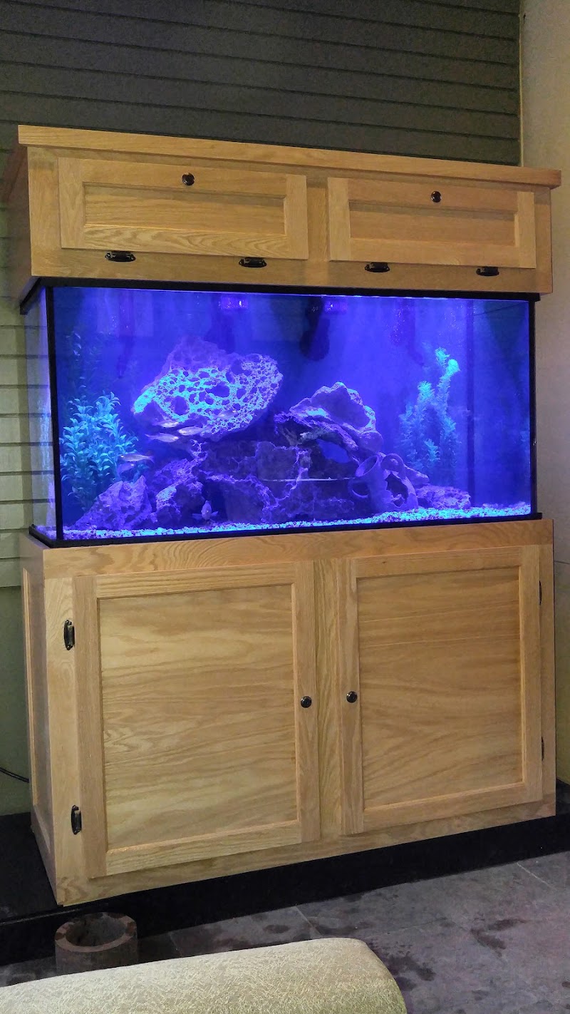 Aquatic World - Photo 3