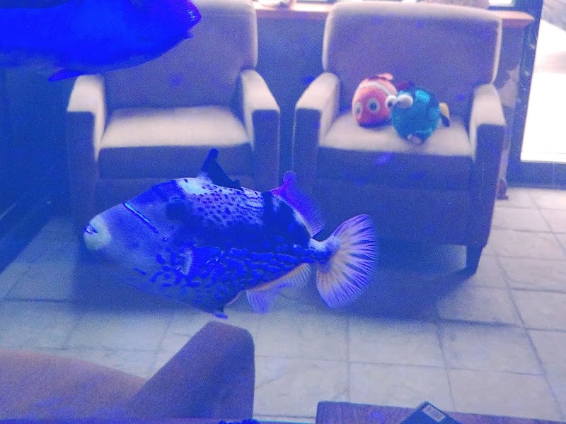 Aquatic World - Photo 5