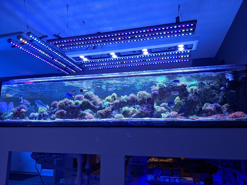 The Coral Crib - Photo 2