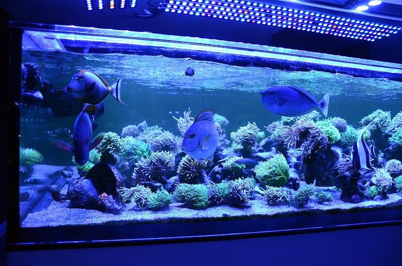 The Coral Crib - Photo 3