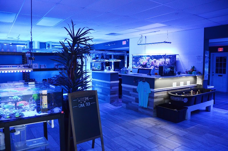 The Coral Crib - Photo 4