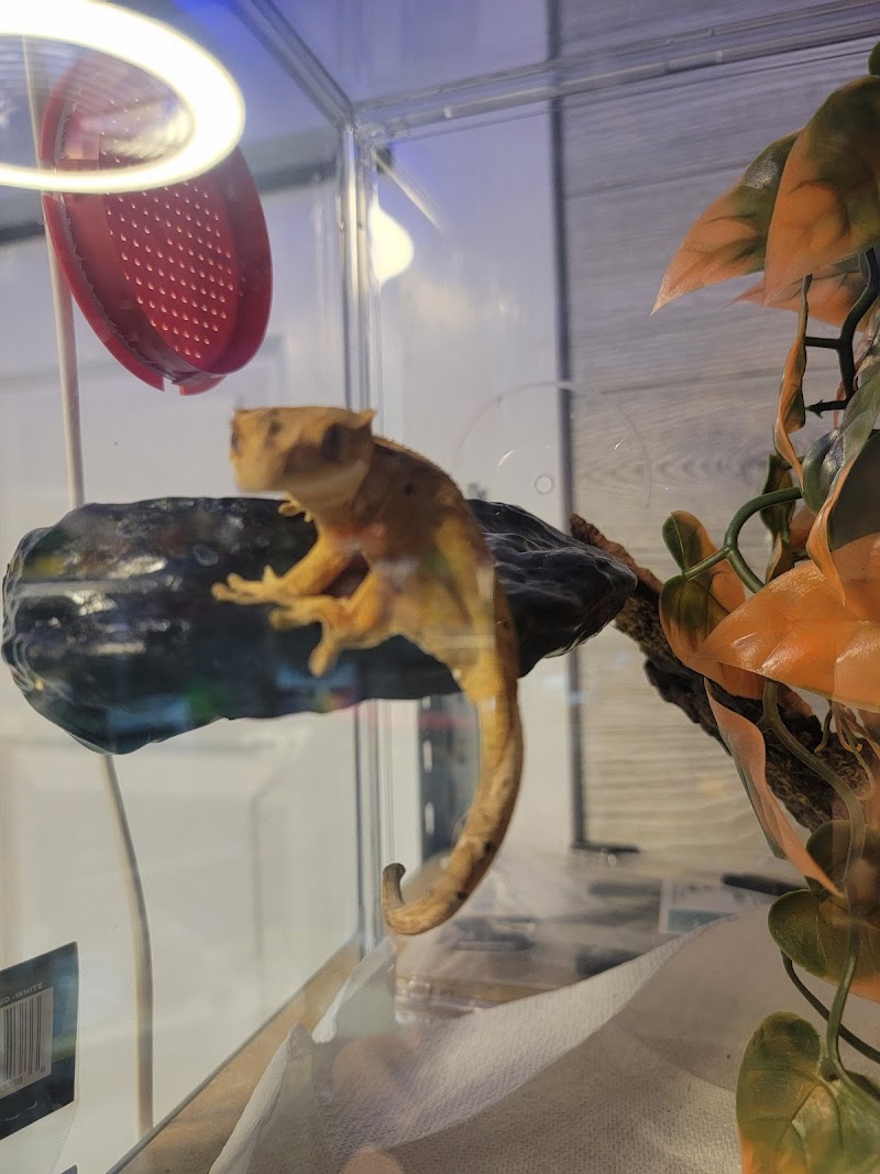 J Squared Aquatics - Photo 4