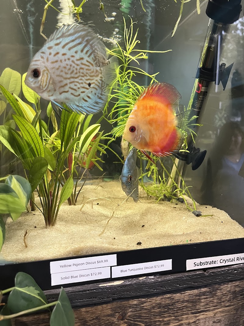 J Squared Aquatics - Photo 5