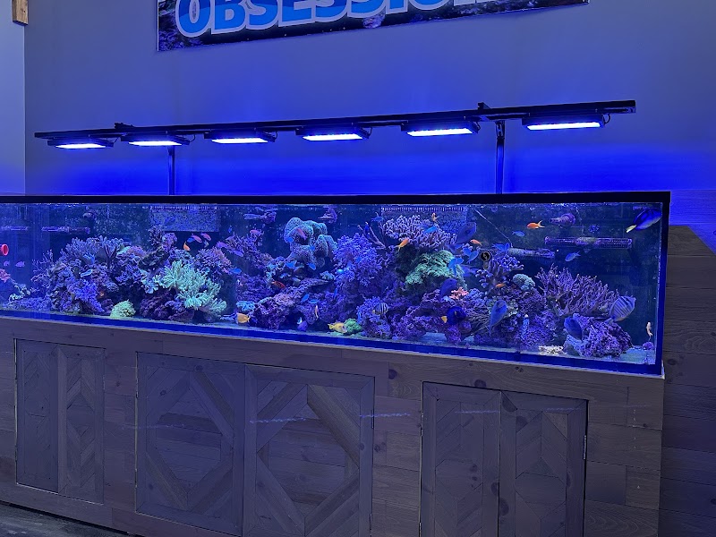 Aquarium Obsessions Saltwater Shop - Photo 2