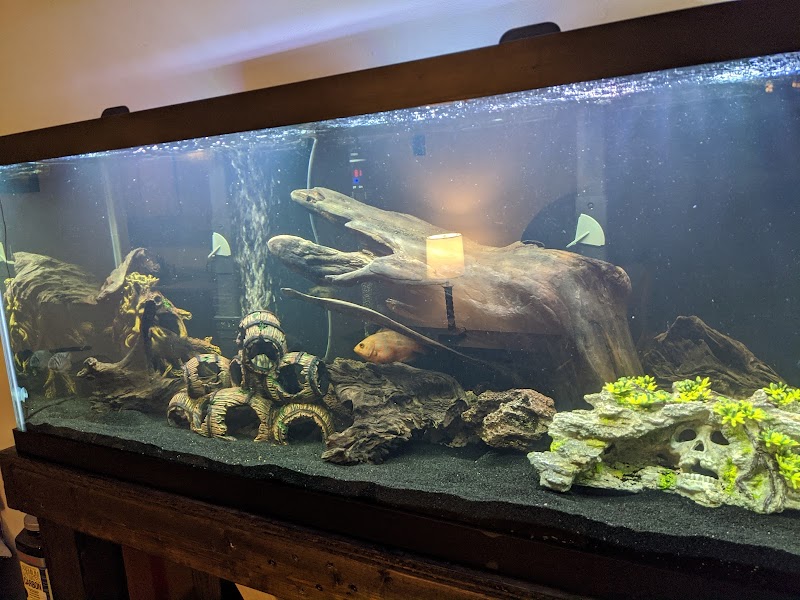 Premium Pet Supply - Photo 3