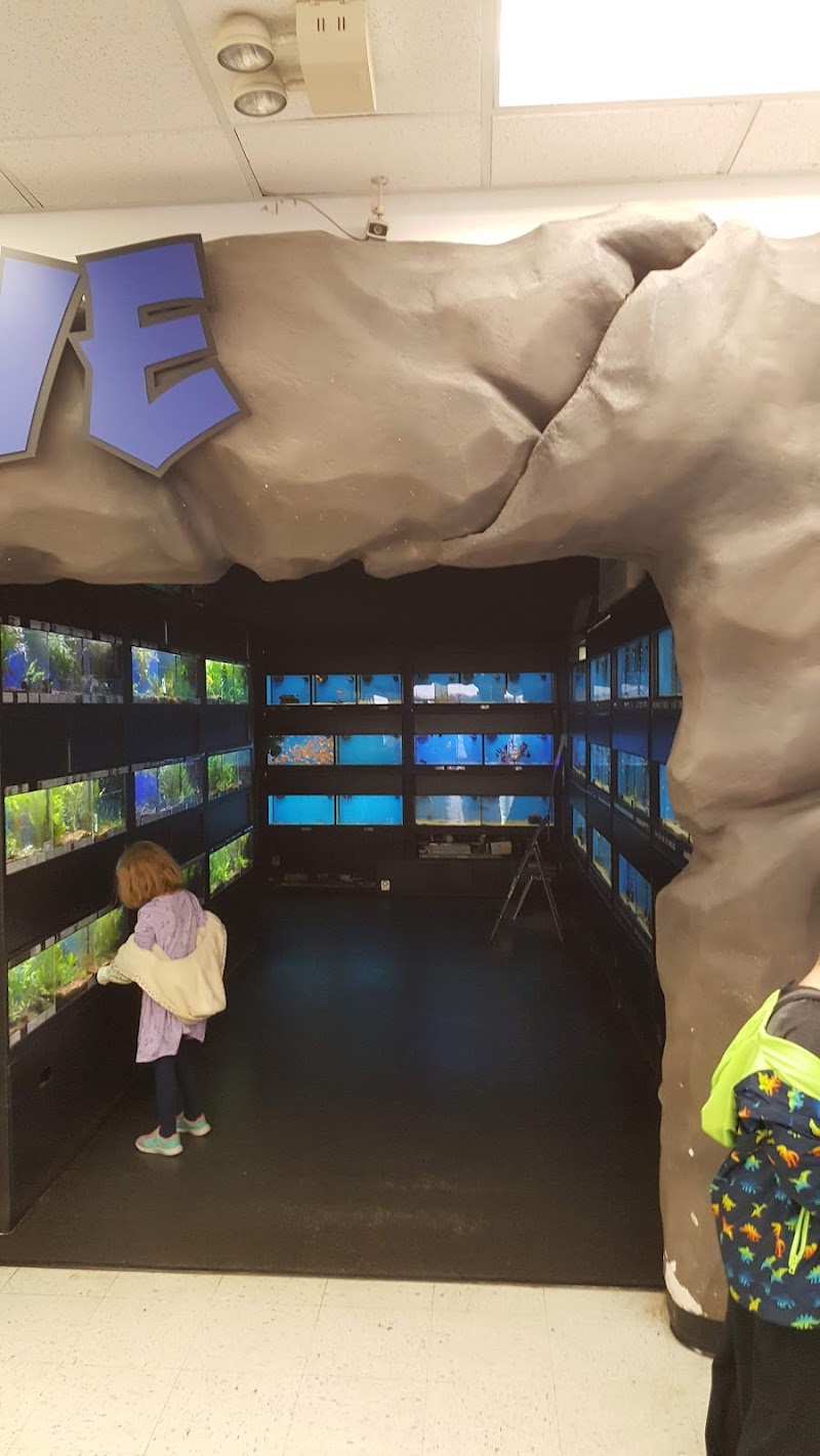 Premium Pet Supply - Photo 4