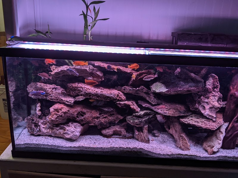 Premium Pet Supply - Photo 5