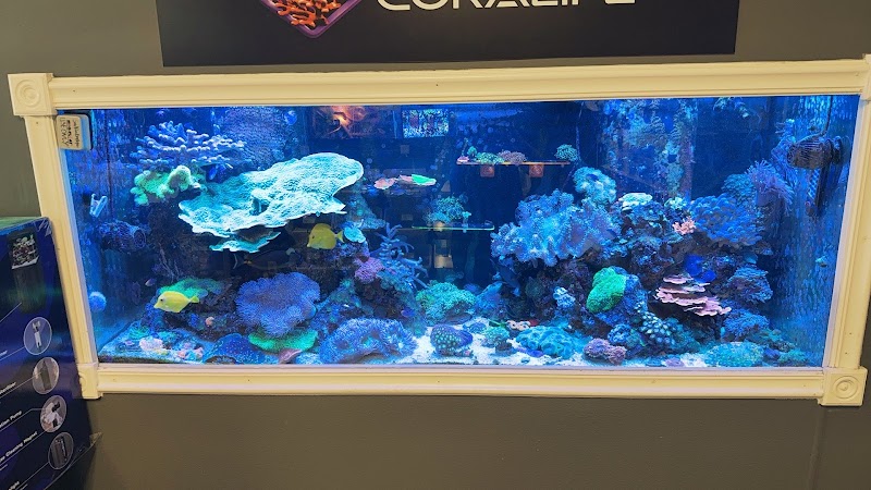 Sailfin Pet Shop - Photo 2