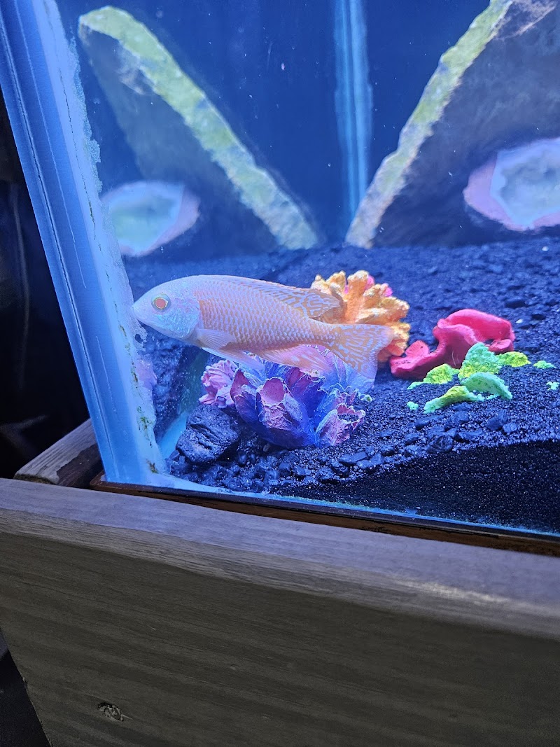 Global Exoticquatics - Photo 2