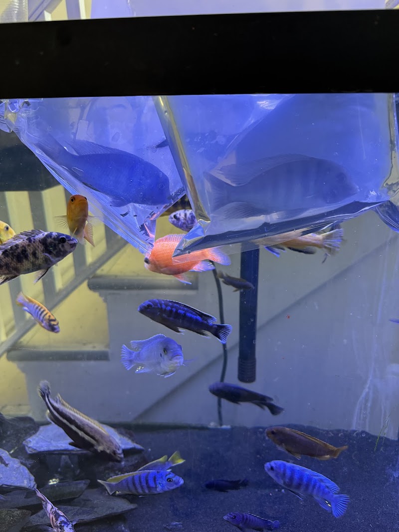 Global Exoticquatics - Photo 5