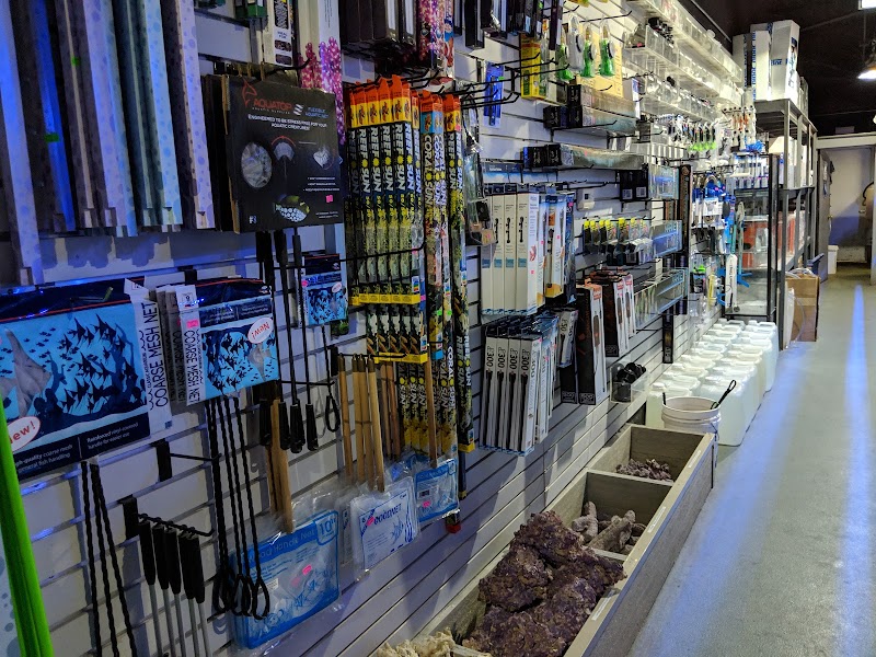 Chicago Fish and Coral Company - Photo 2