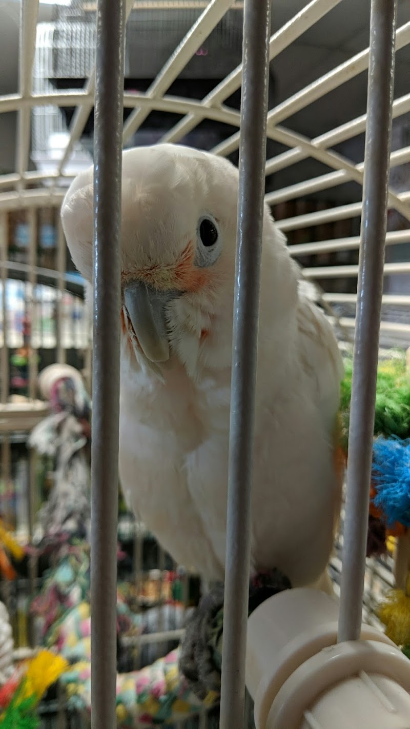 Chicago Fish and Coral Company - Photo 3