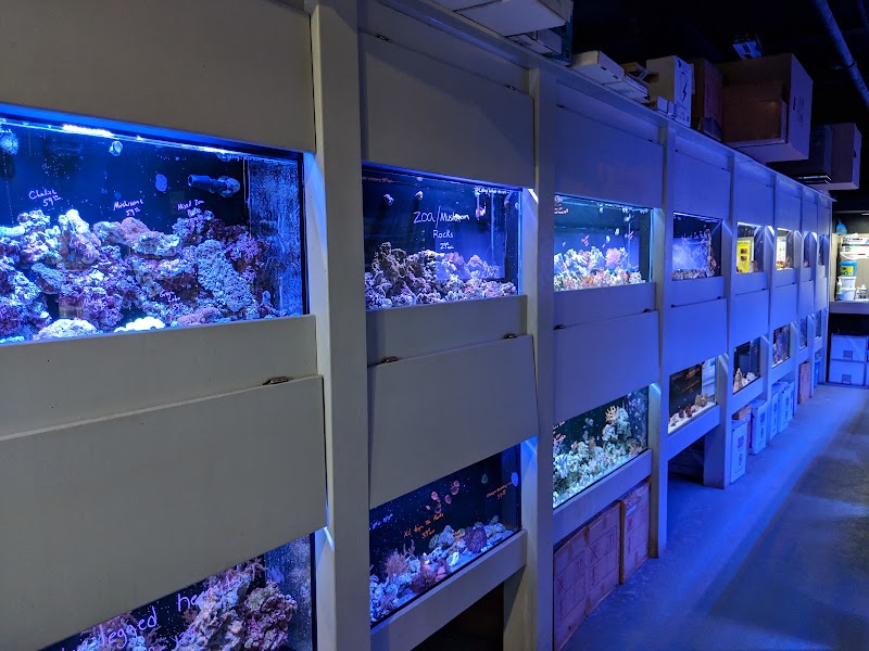 Chicago Fish and Coral Company - Photo 4