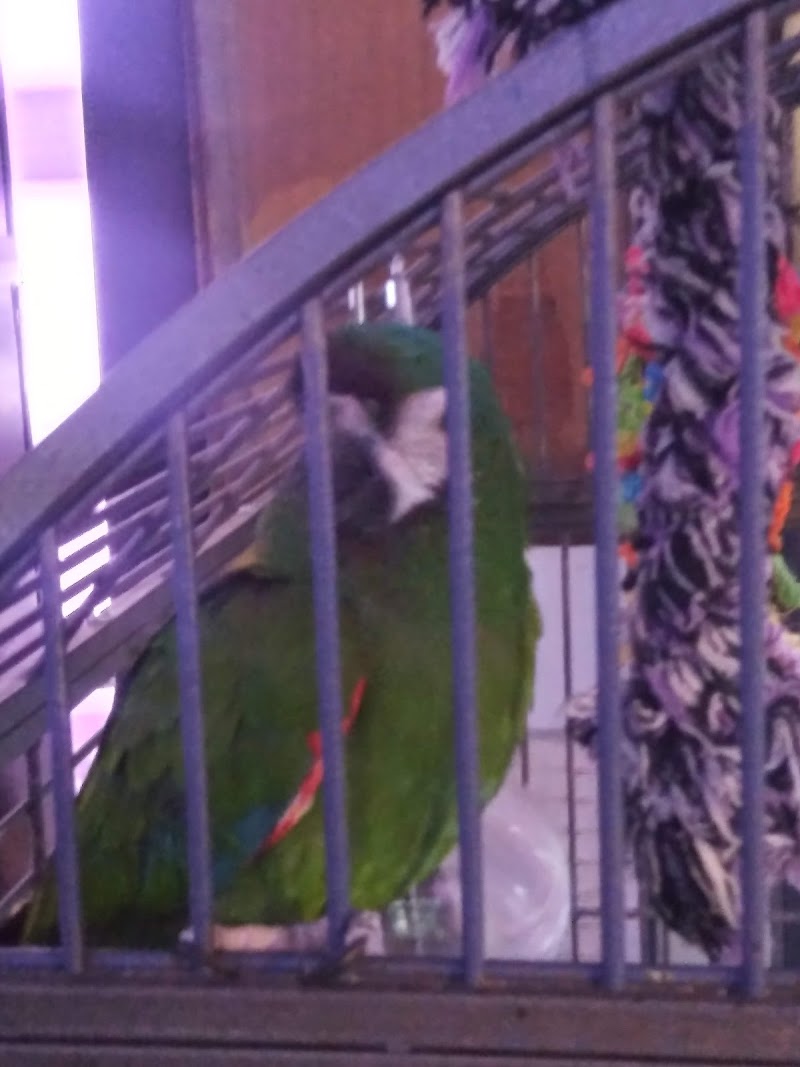 Atlantis Aquatic Gardens - Photo 1