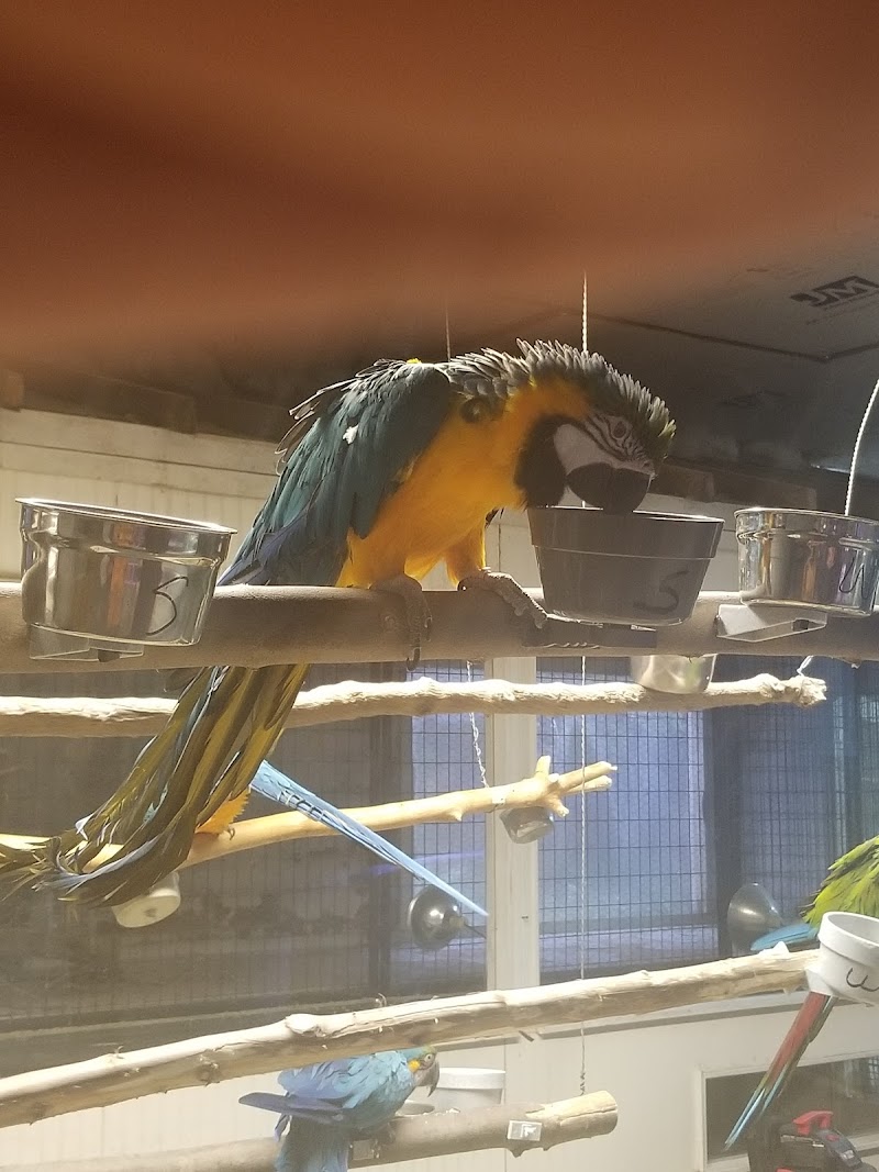 Atlantis Aquatic Gardens - Photo 4