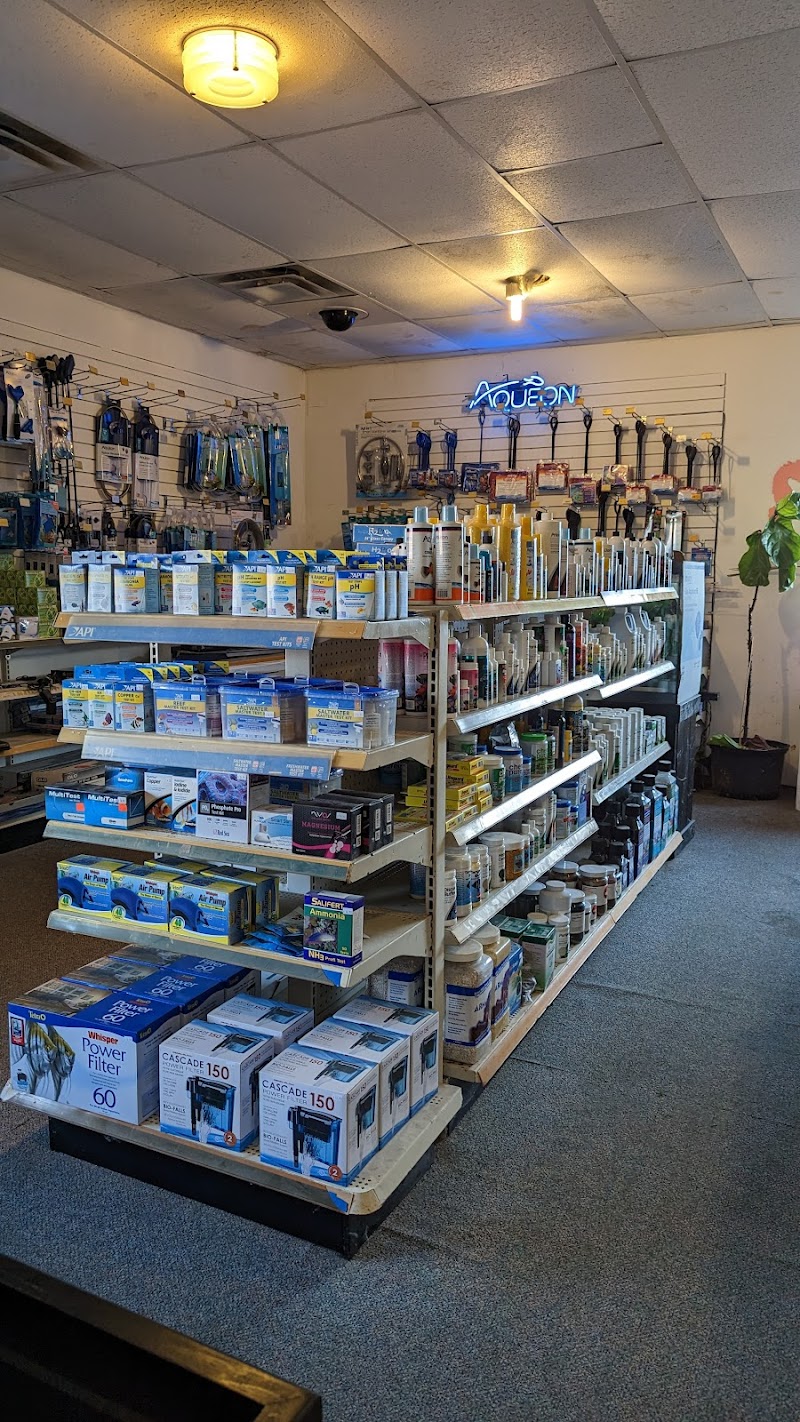 Atlantis Aquatic Gardens - Photo 5