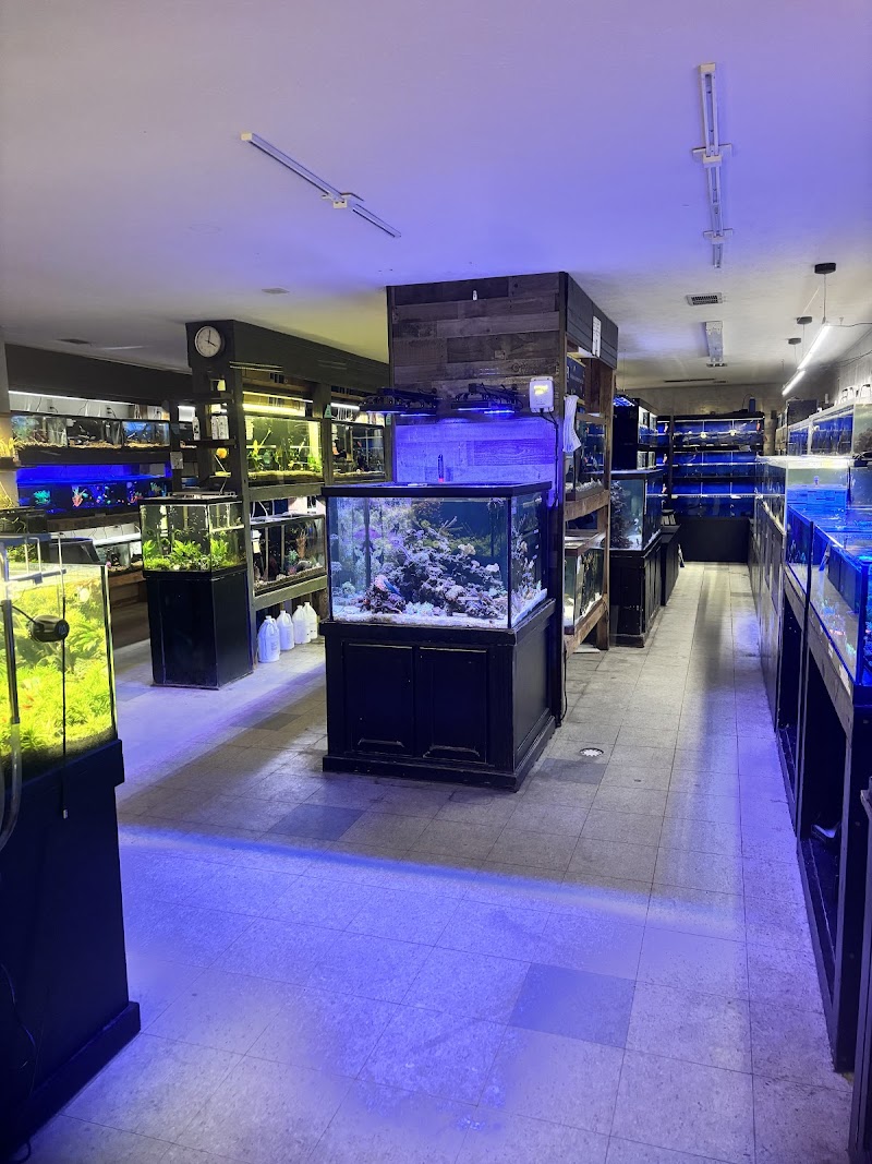 Aquarium World - Photo 2