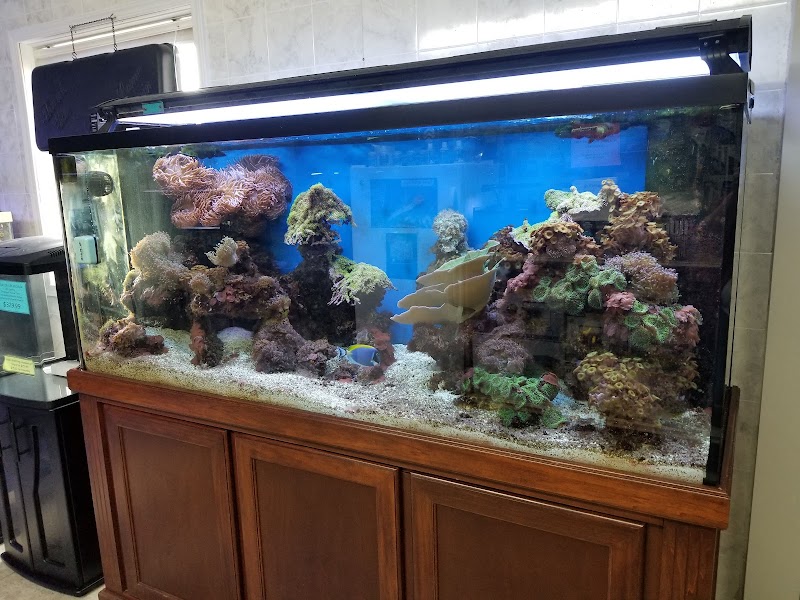 Aquarium World - Photo 3