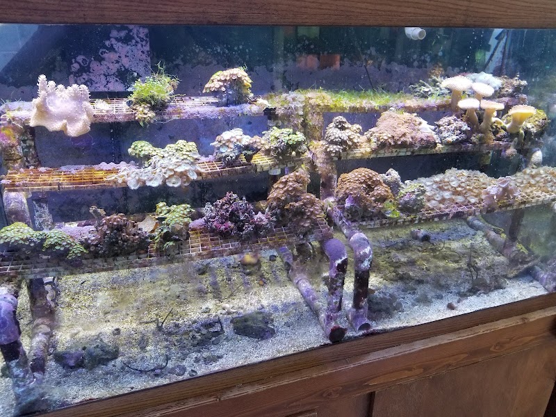 Aquarium World - Photo 4