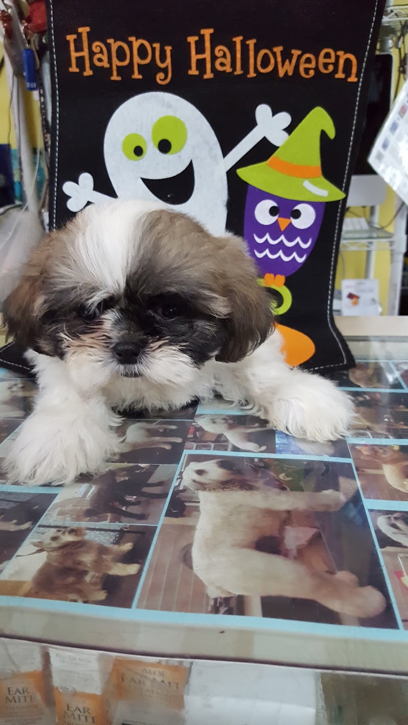 Acuario Piscis - Photo 3