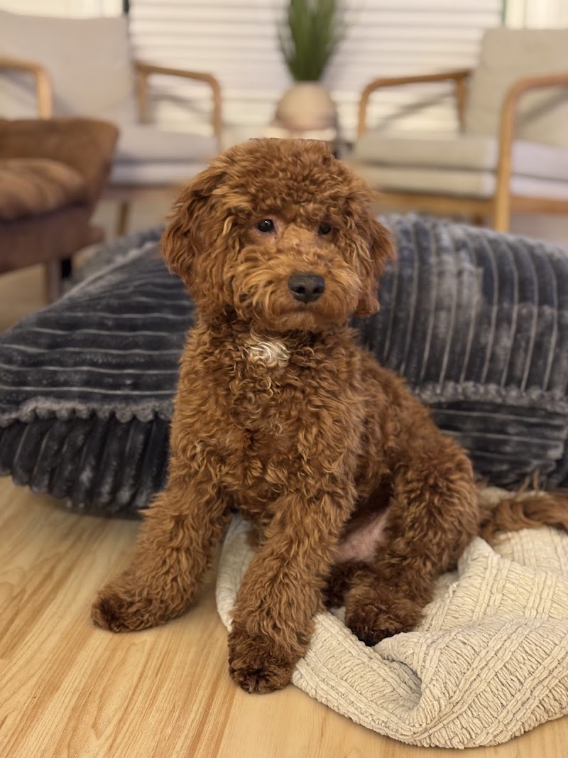 Acuario Piscis - Photo 5