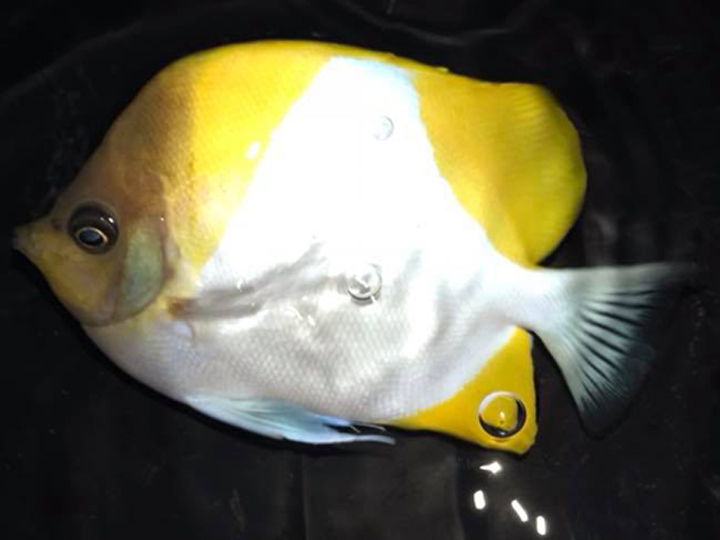 Rob's Aquatics - Photo 2