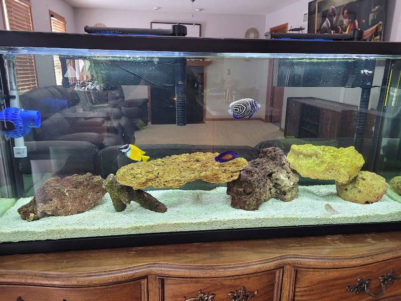 Rob's Aquatics - Photo 3
