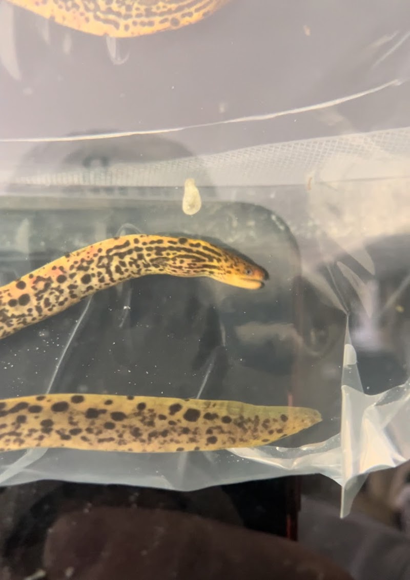 Nation Wide Aquatics - Photo 2