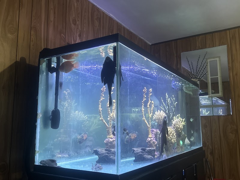 Nation Wide Aquatics - Photo 3