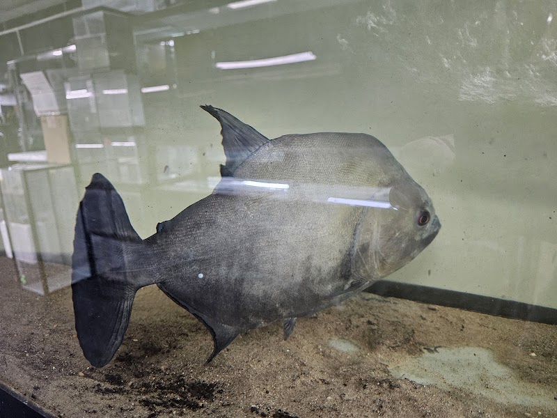 Nation Wide Aquatics - Photo 4