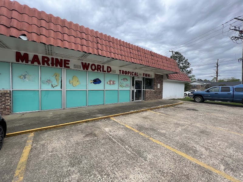 Marine World Tropical Fish - Photo 1