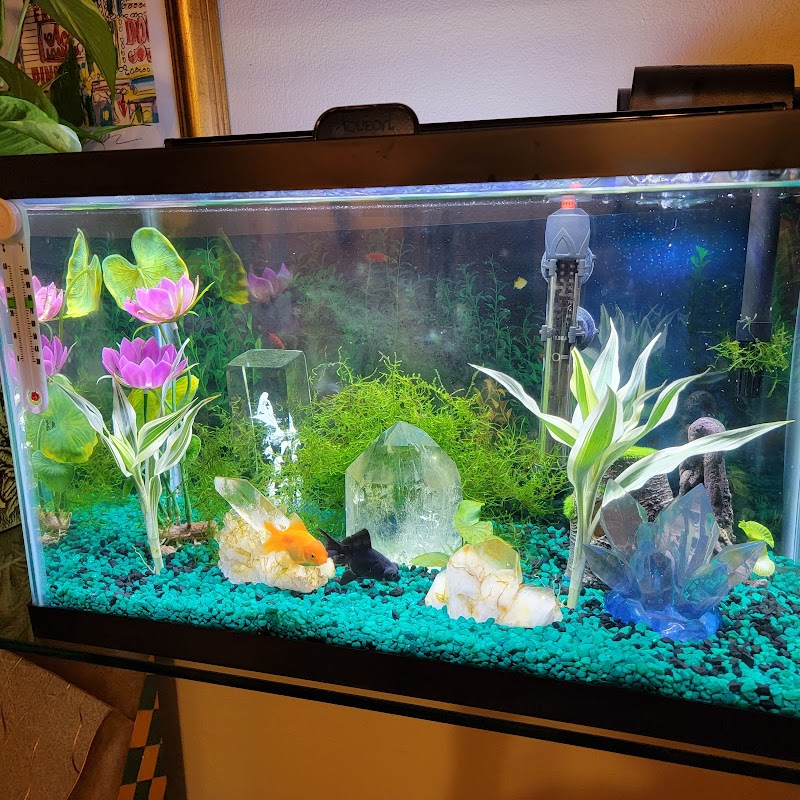 Marine World Tropical Fish - Photo 3