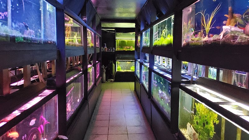 Marine World Tropical Fish - Photo 5