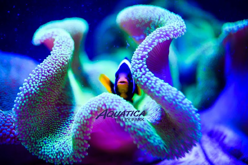 Aquatica Tinley Park - Photo 2