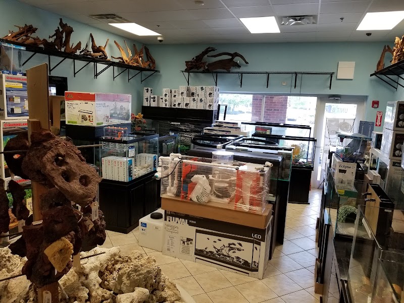 Aquatica Tinley Park - Photo 3