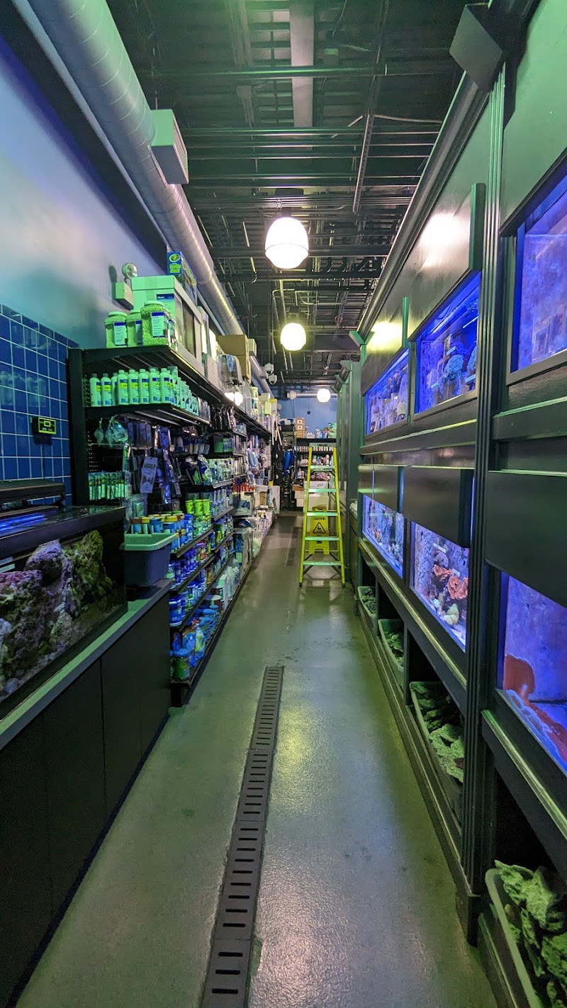 Aquatica Tinley Park - Photo 4