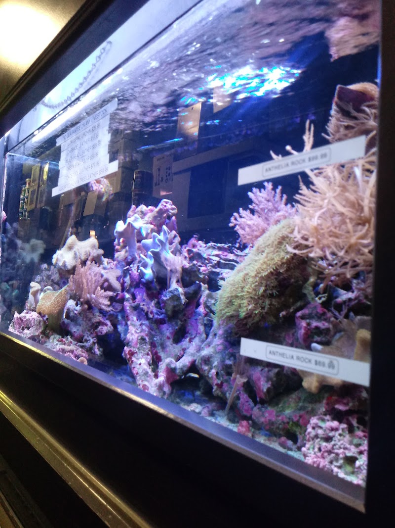 Aquatica Tinley Park - Photo 5