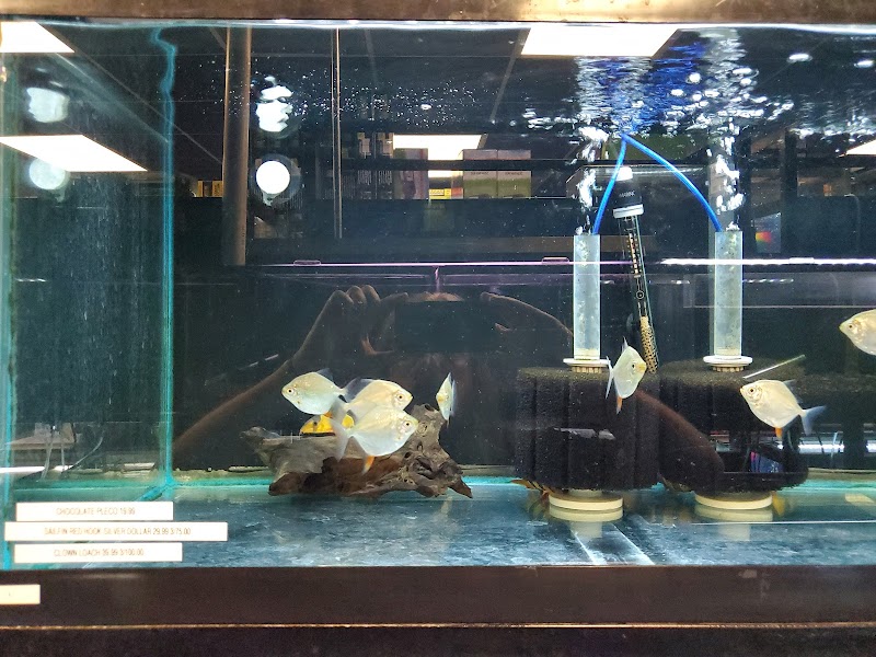 Animal Island Pet Shop - Photo 5